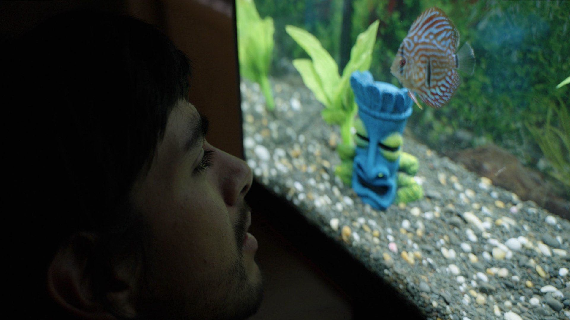 Notes from a Fish background