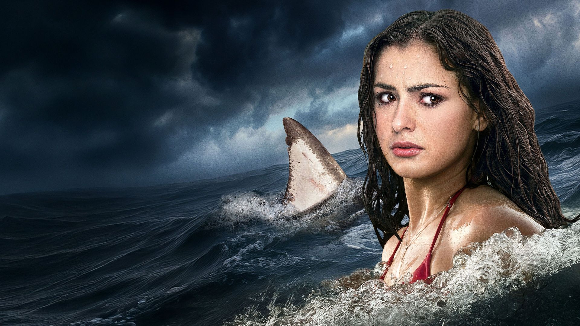 Shark Terror background