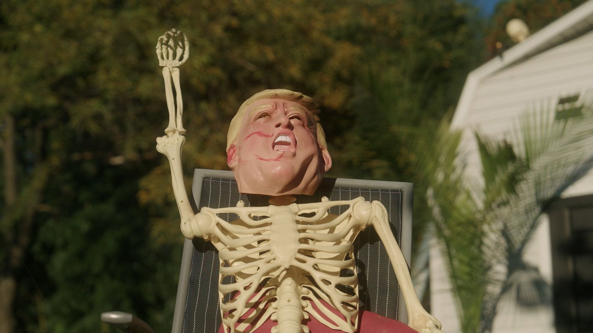 My Neighbor's Yard background