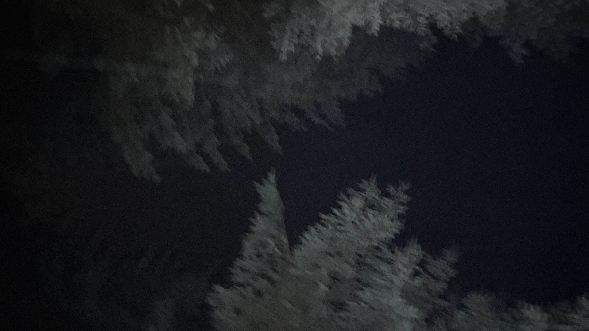 Last to Die background