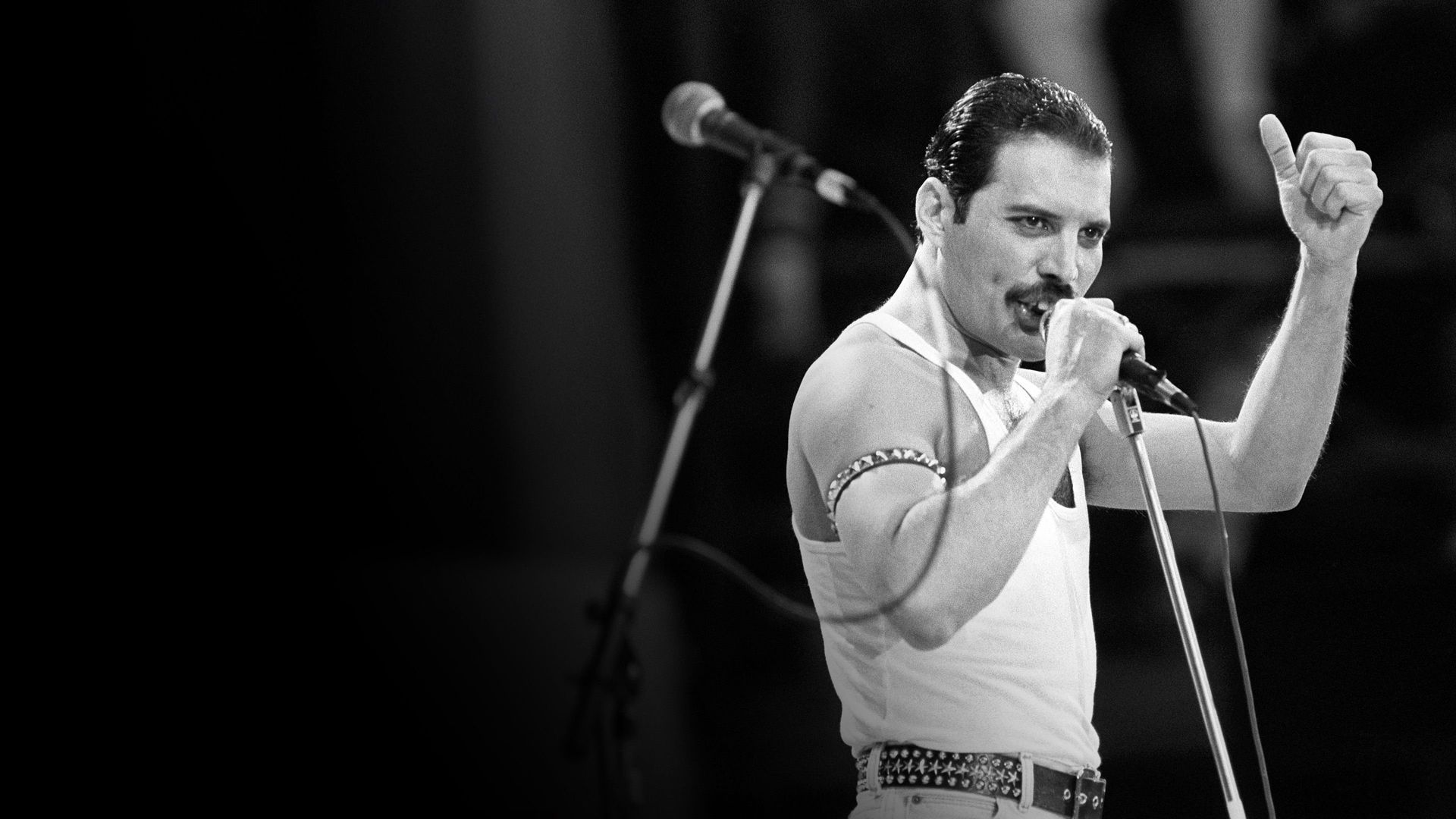Freddie Mercury: A Secret Daughter? background