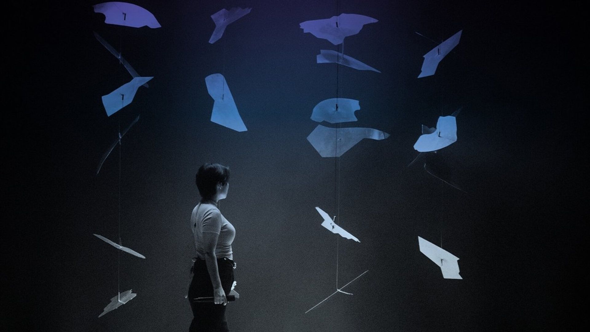 Mitski: The Land background