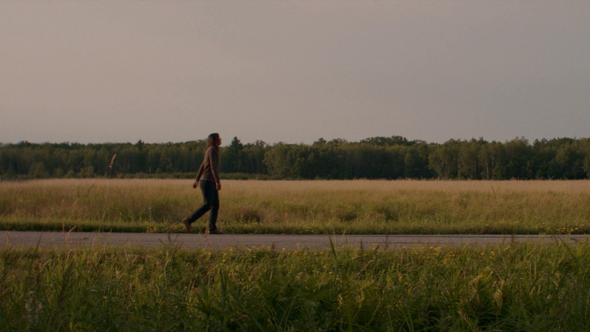 Blossom Needs A Ride Home background