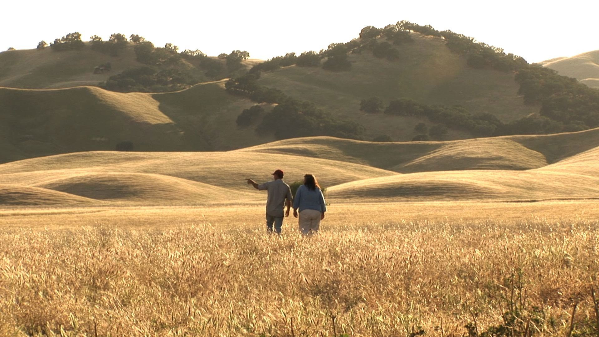 The Last Crop background