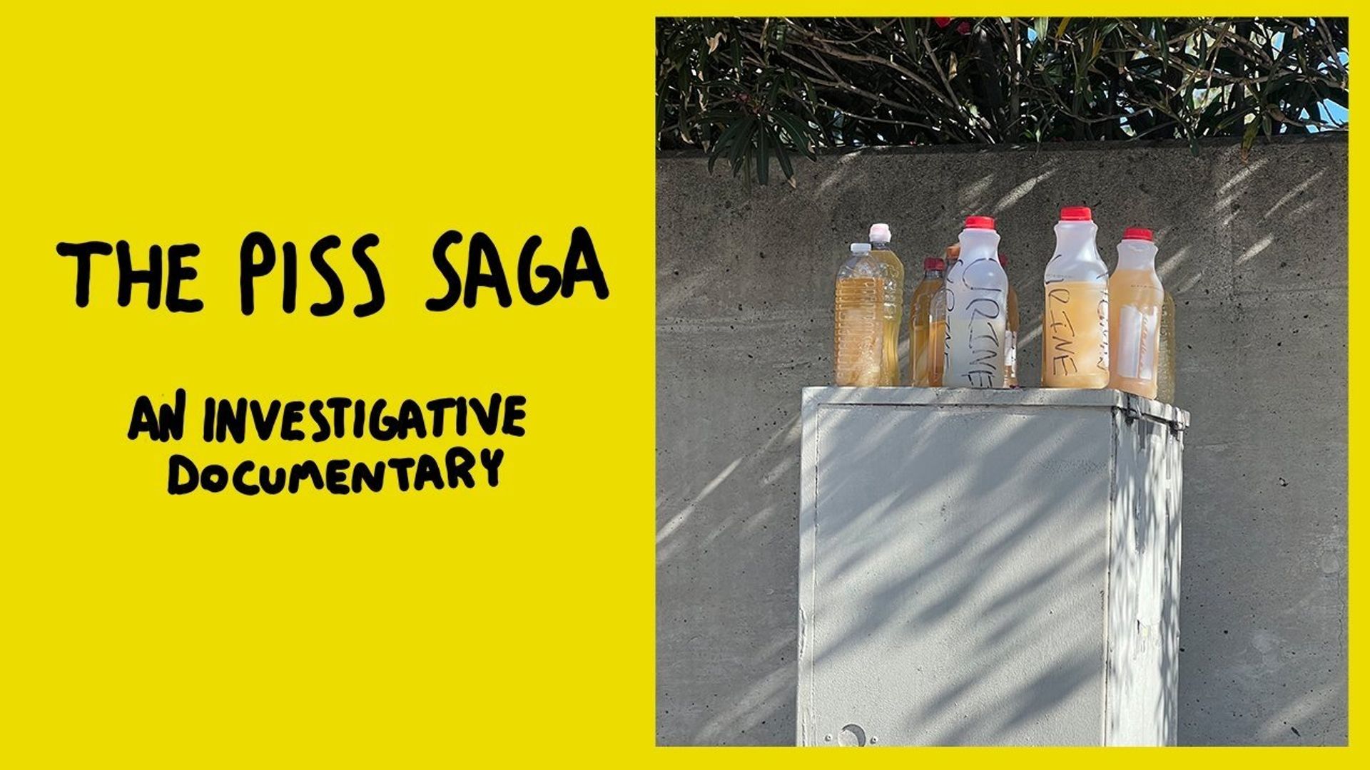 The Piss Saga background