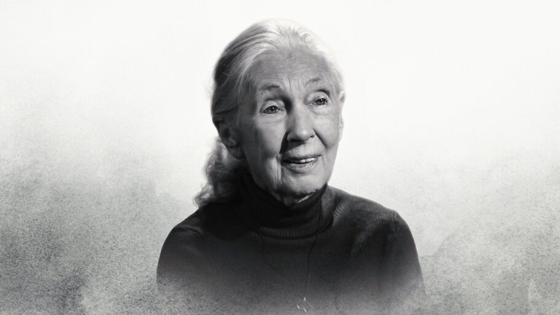 Famous Last Words: Dr. Jane Goodall background