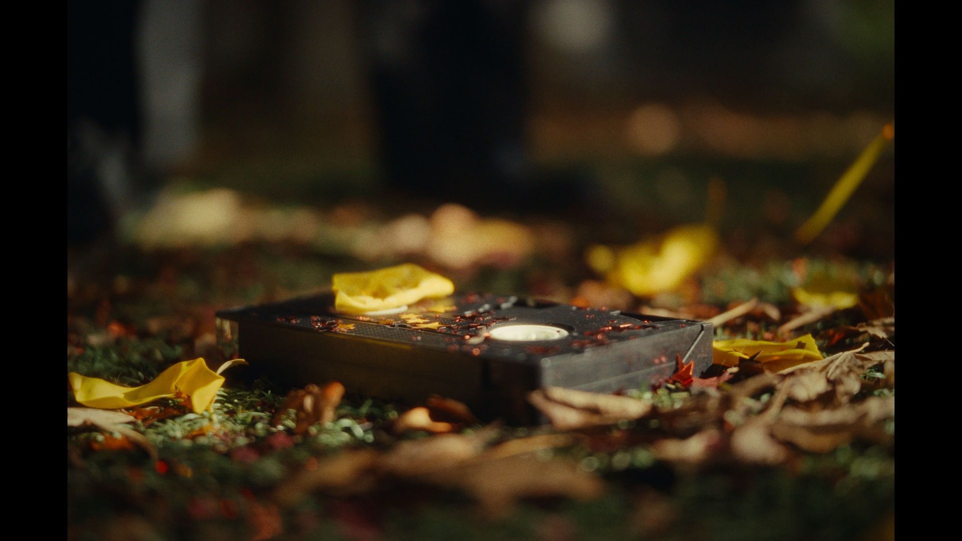 Picture Day background