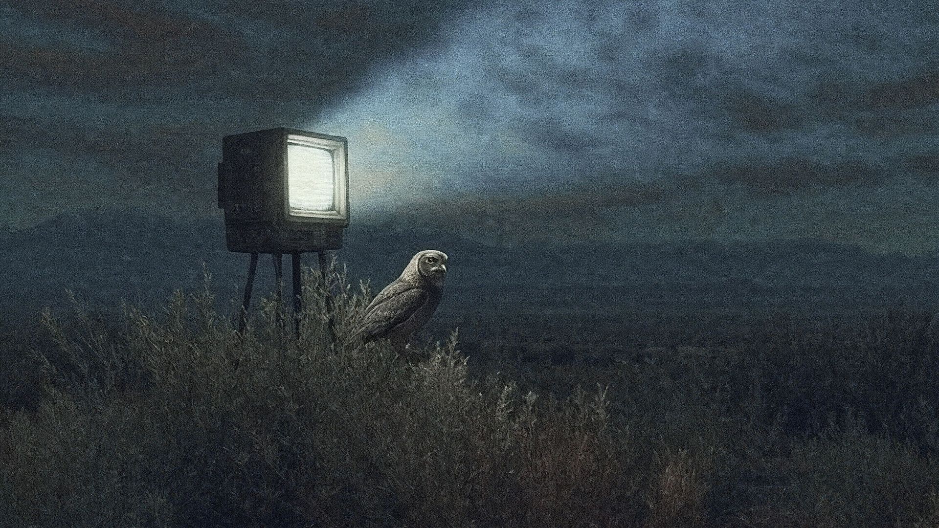 Analogous Life background