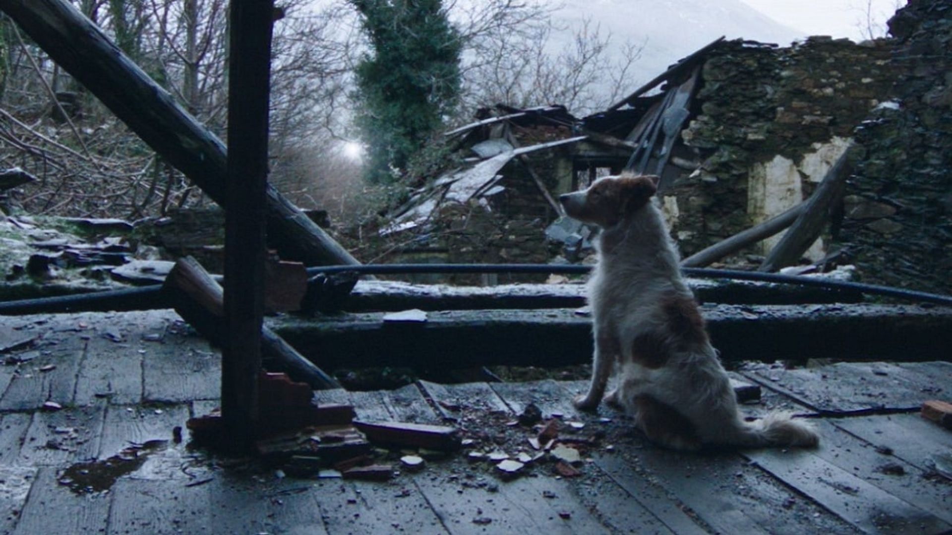 Thirty Souls background