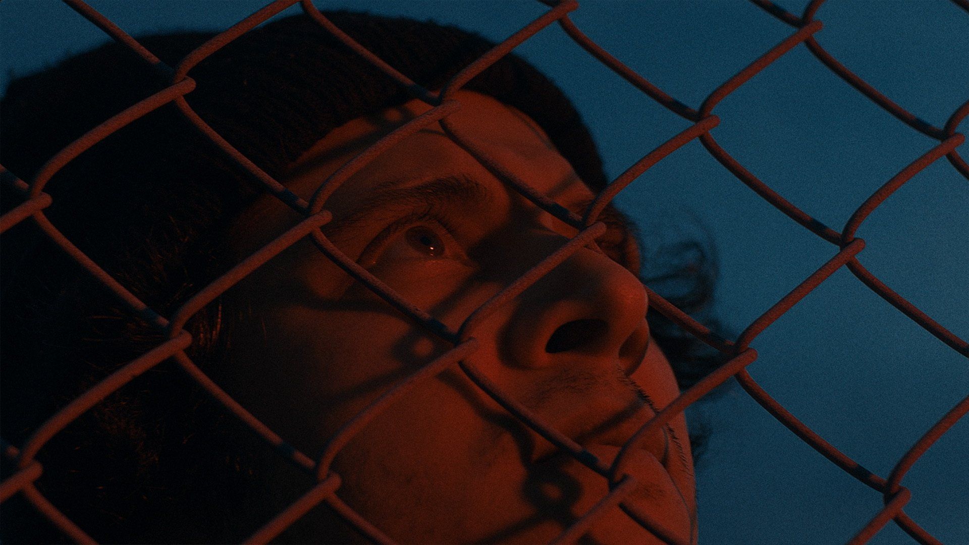 A Place Under the Stars background