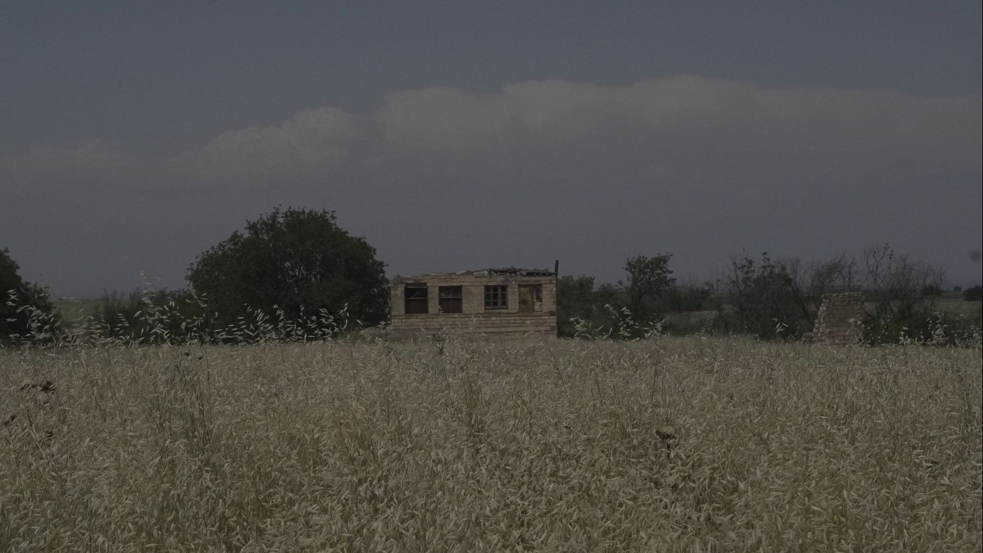 Ones Left Behind background