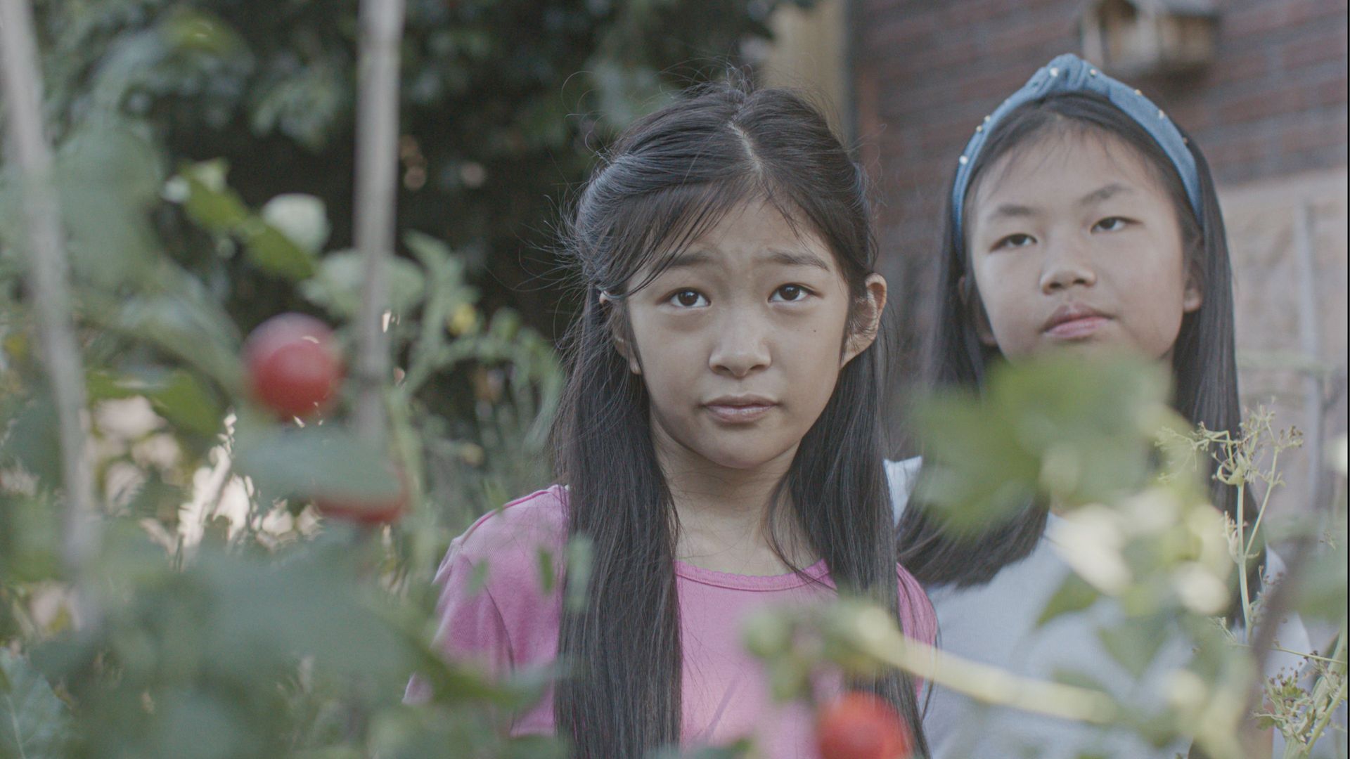 The Garden background