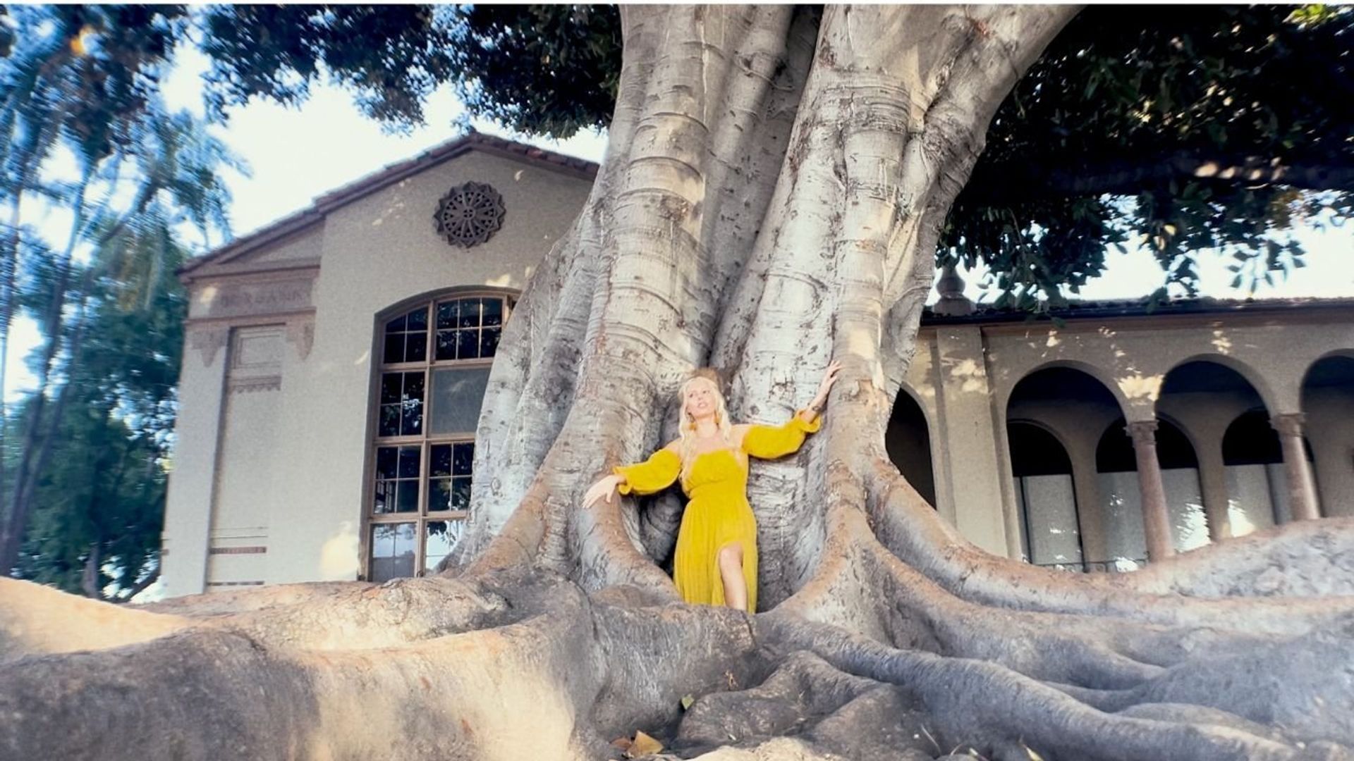 Soliloquy of One background