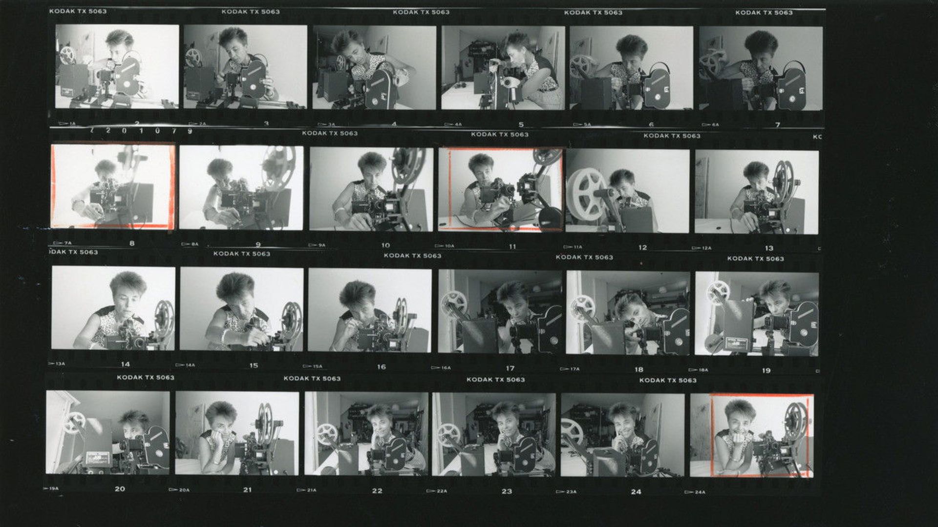 Barbara Forever background