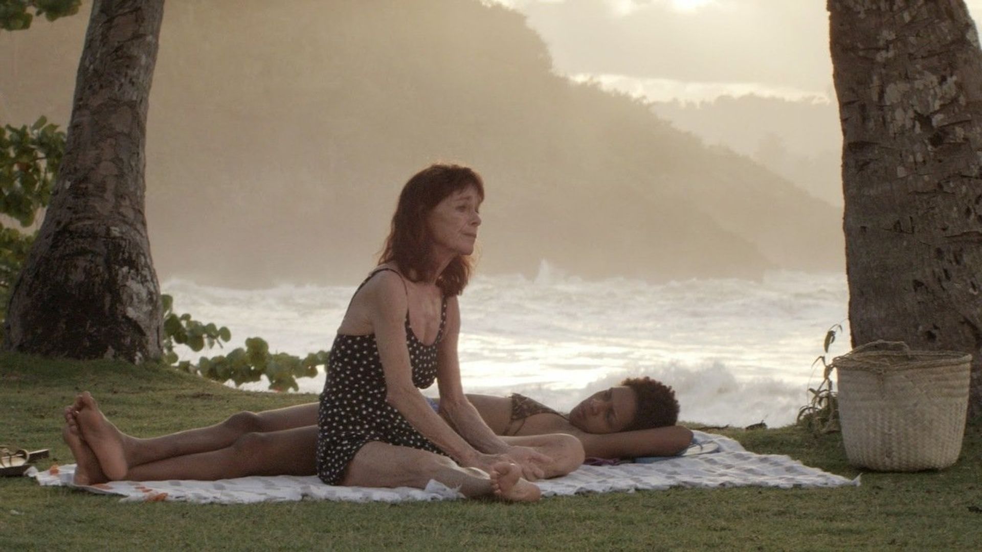 Sand Dollars background