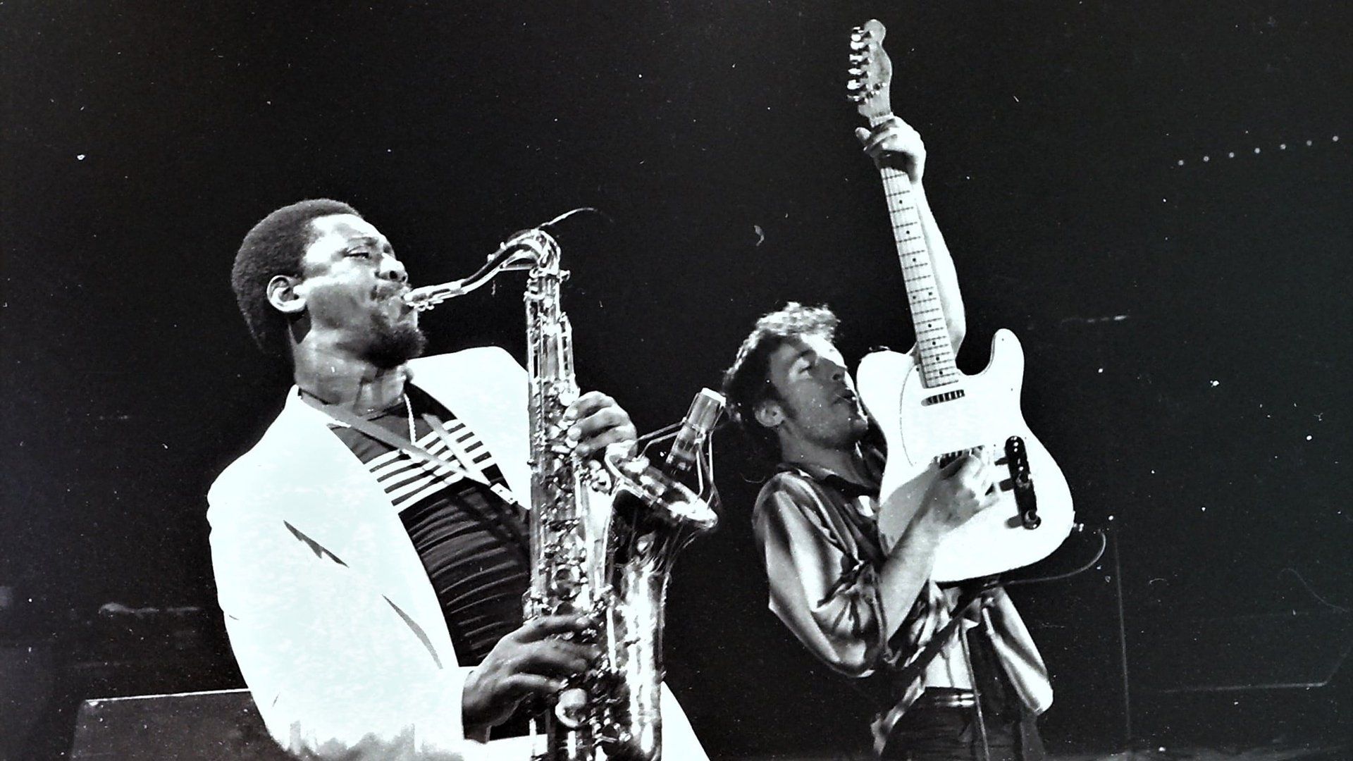 Bruce Springsteen & the E Street Band Houston '78 Bootleg: House Cut background