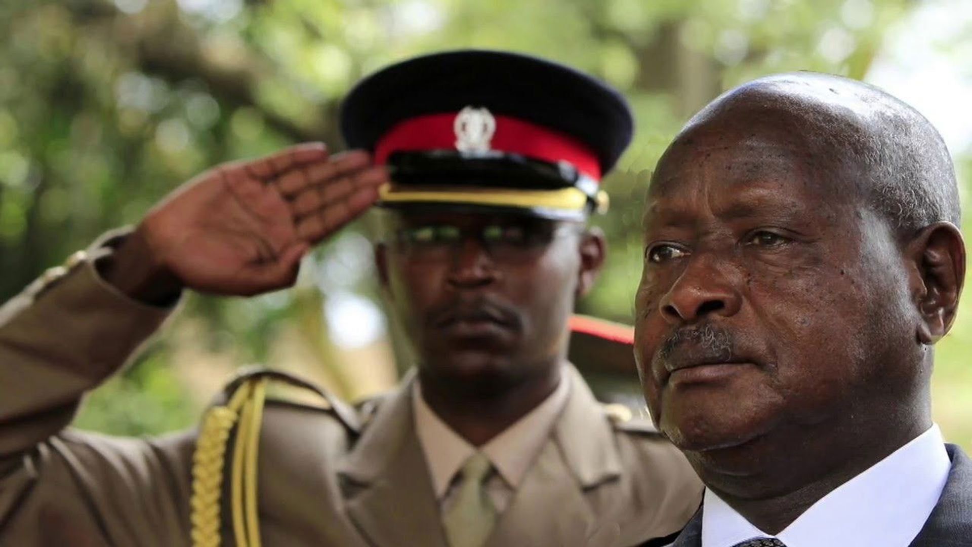 A Brilliant Genocide background