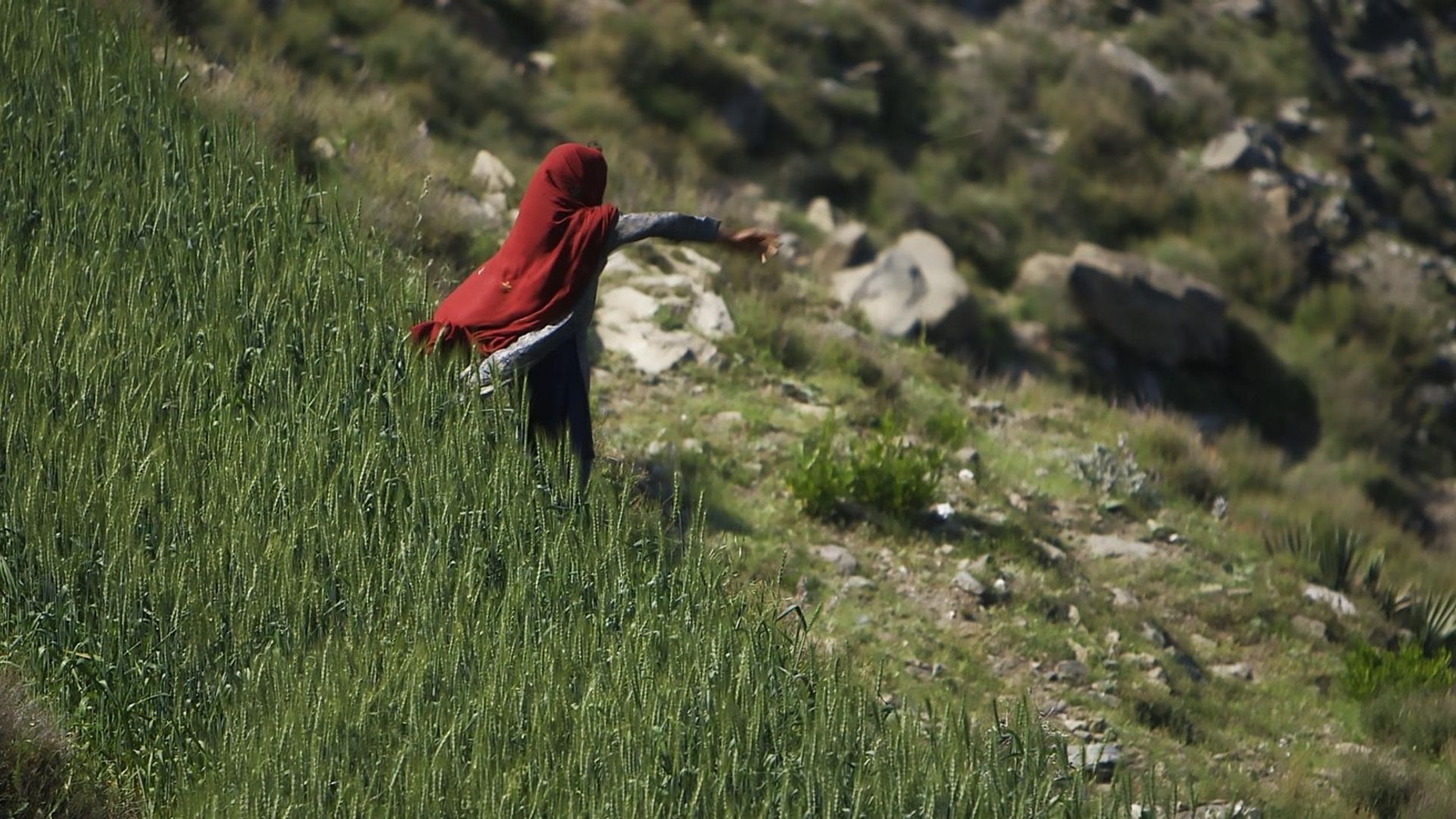 Girl Unbound: The War to Be Her background