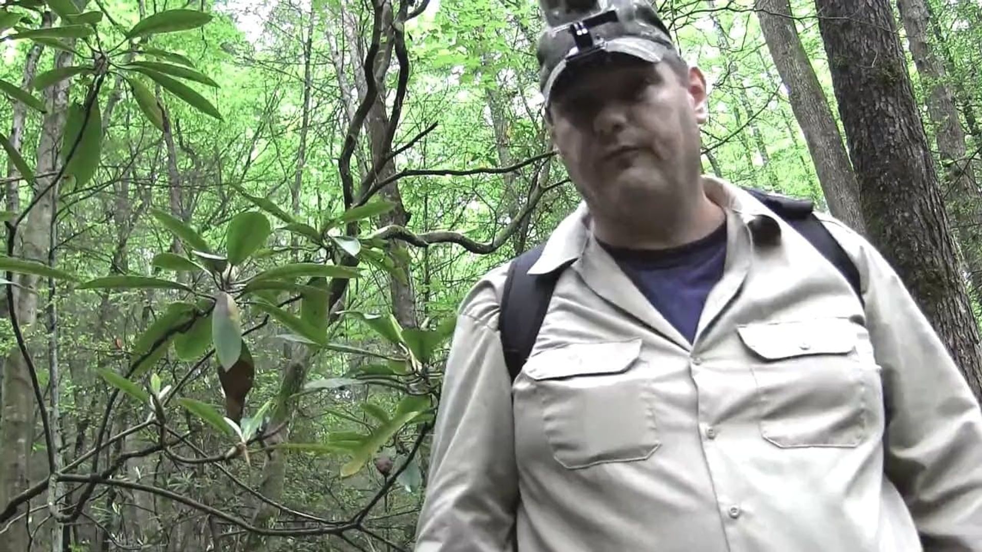 Bigfoot: Still Tracking a Legend background