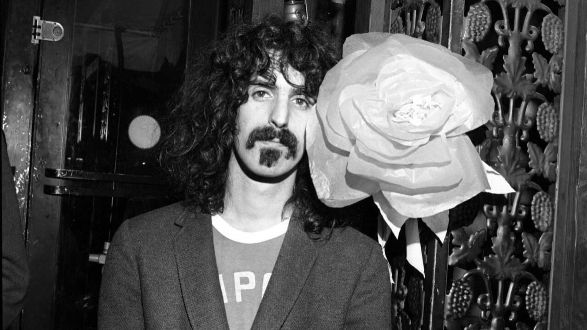 Eat That Question: Frank Zappa in His Own Words background
