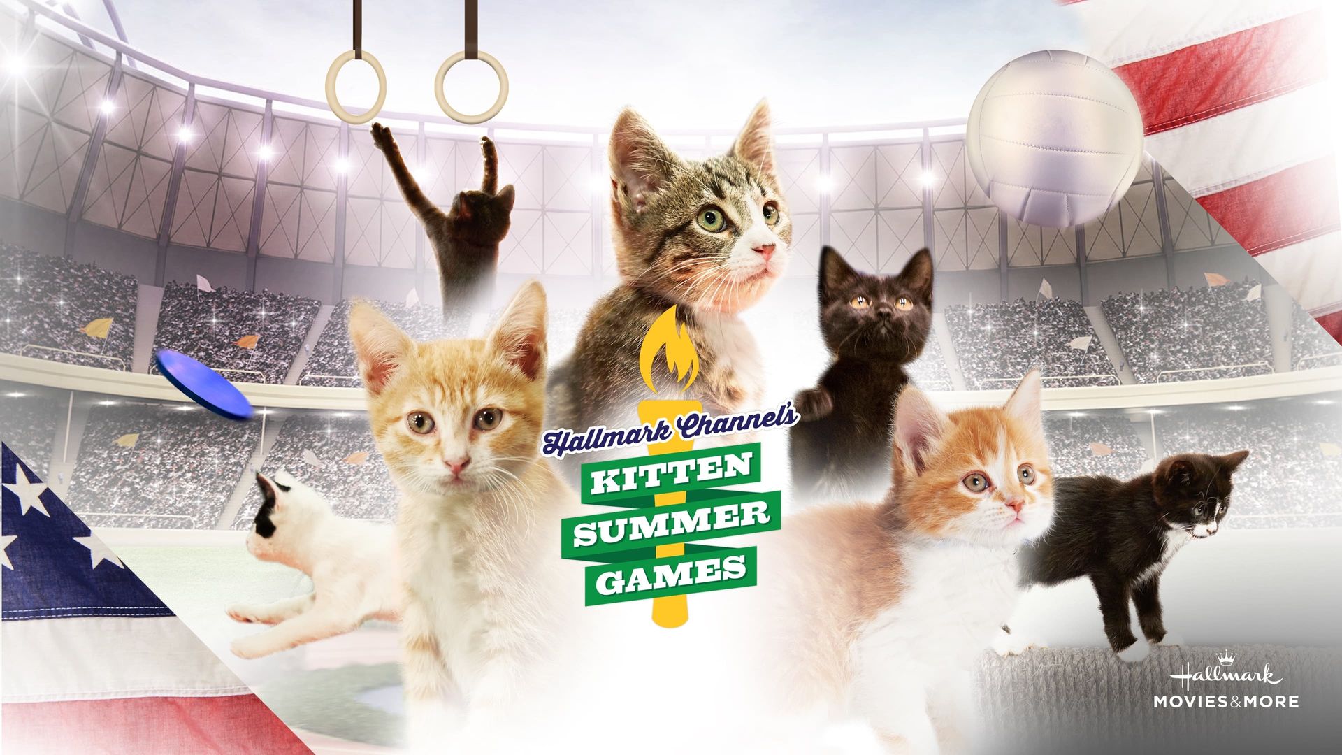 Kitten Summer Games background