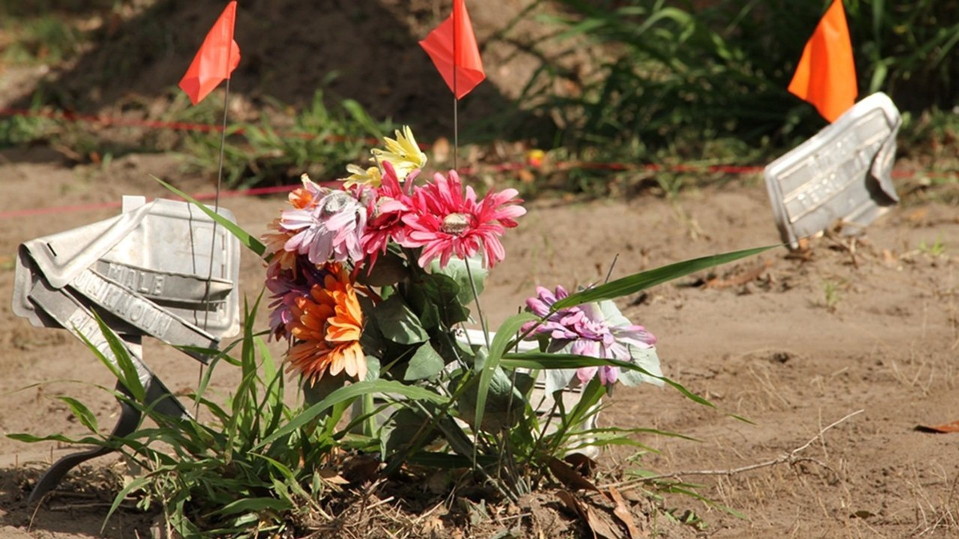 Here After background