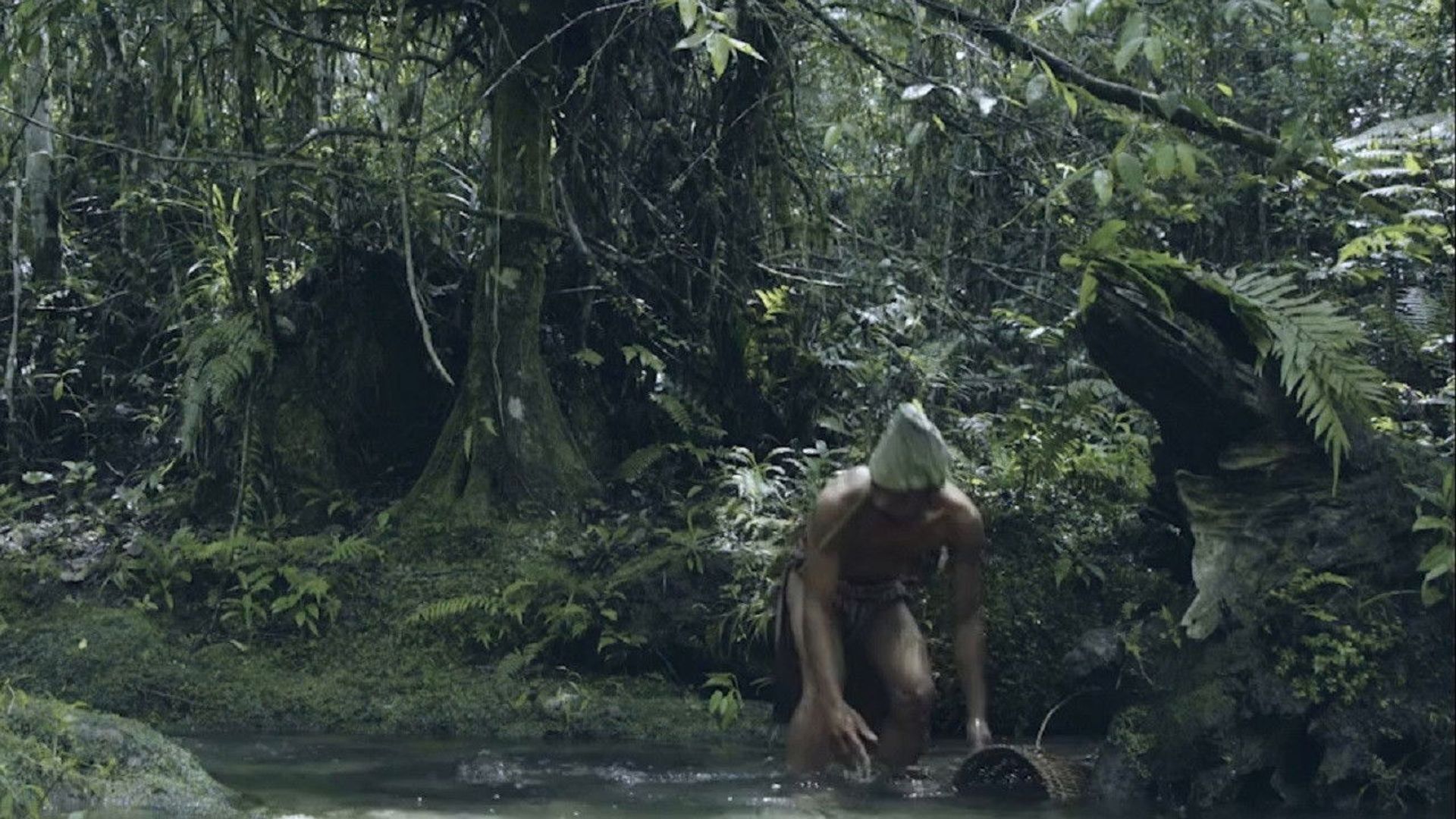 Wailing in the Forest background