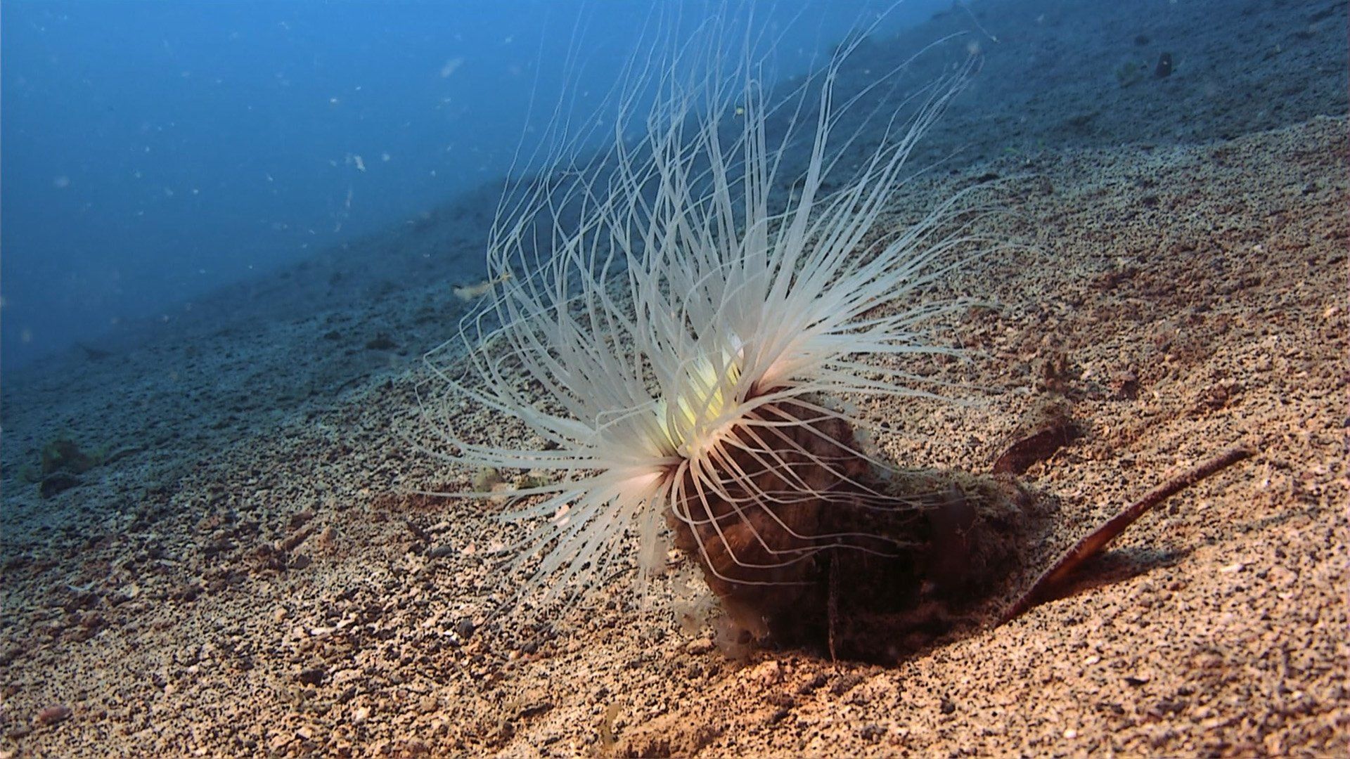 National Geographic: Atmospheres - Earth, Air and Water background