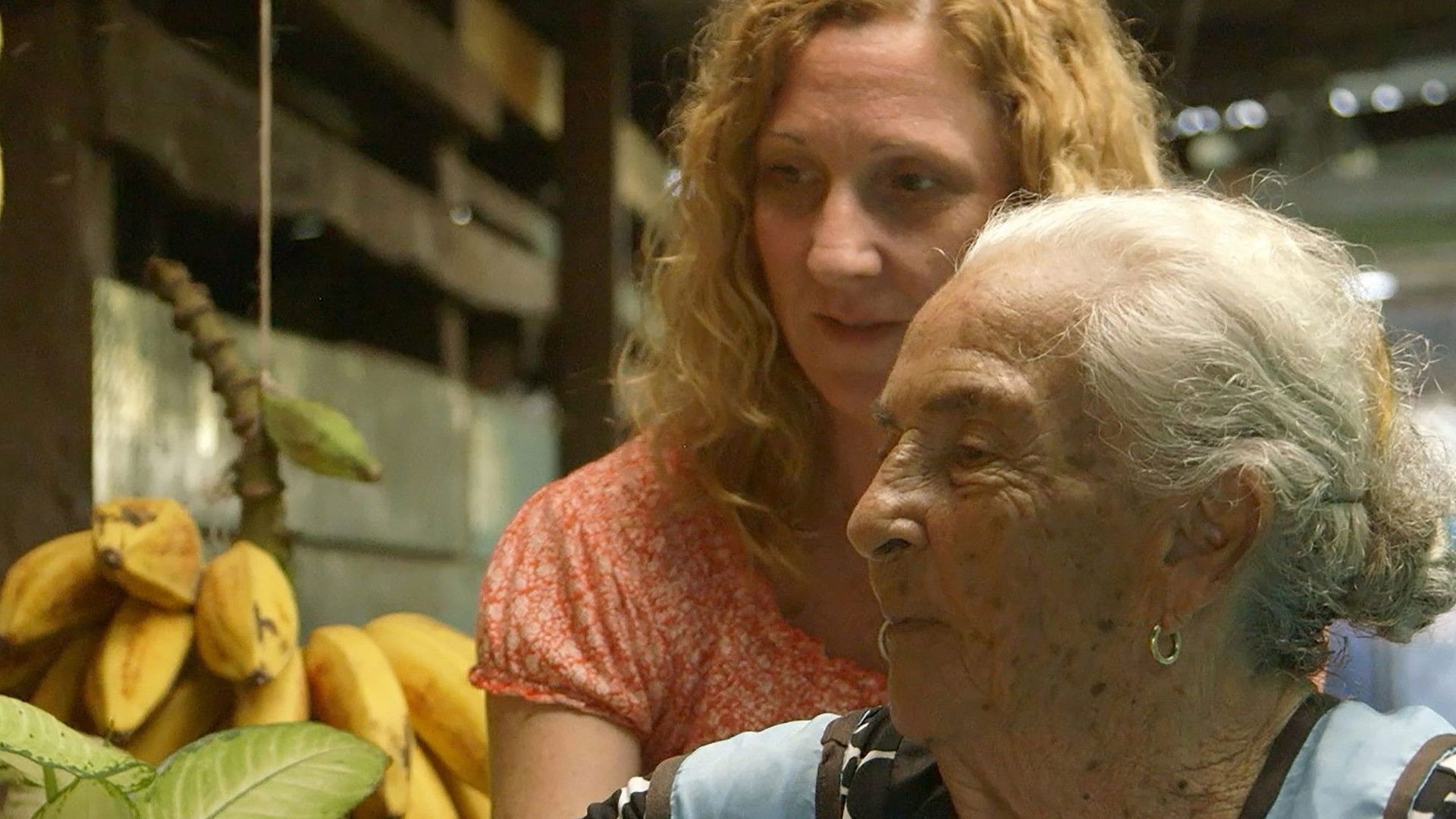 The Last Partera background