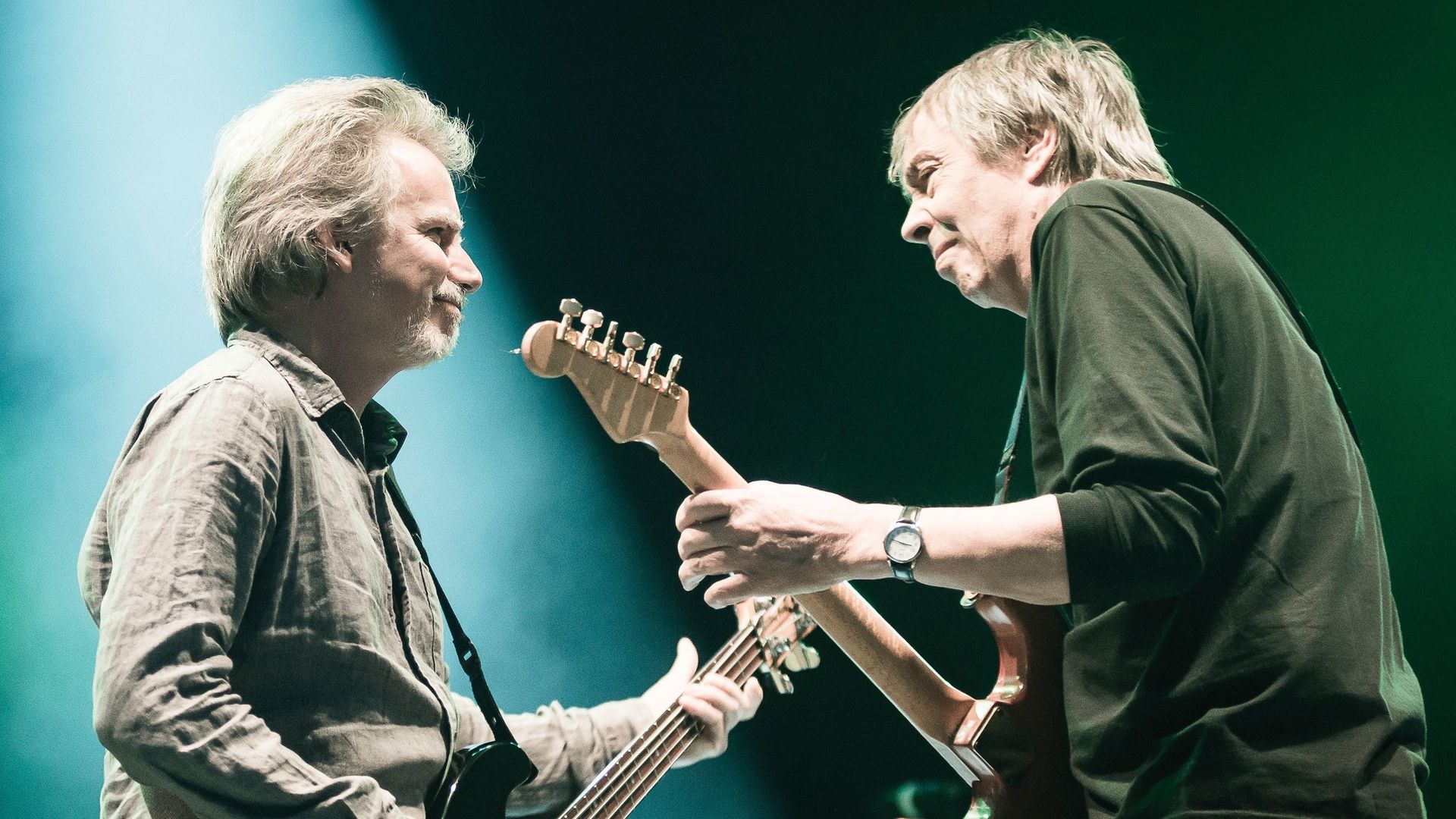 Ichigo Ichie: Camel Live in Japan background