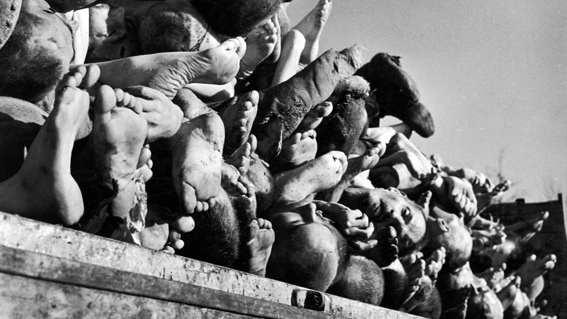 Histories of the Holocaust: Buchenwald background