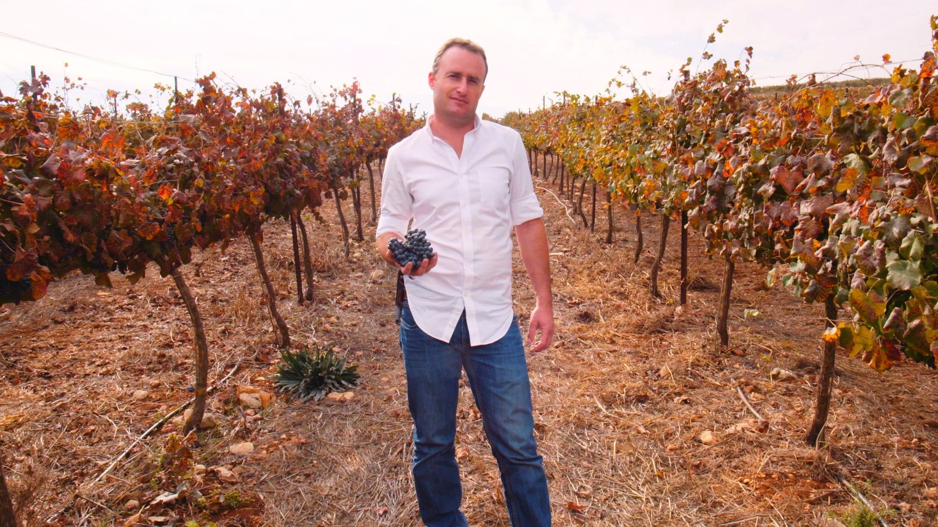 I Am Israel background