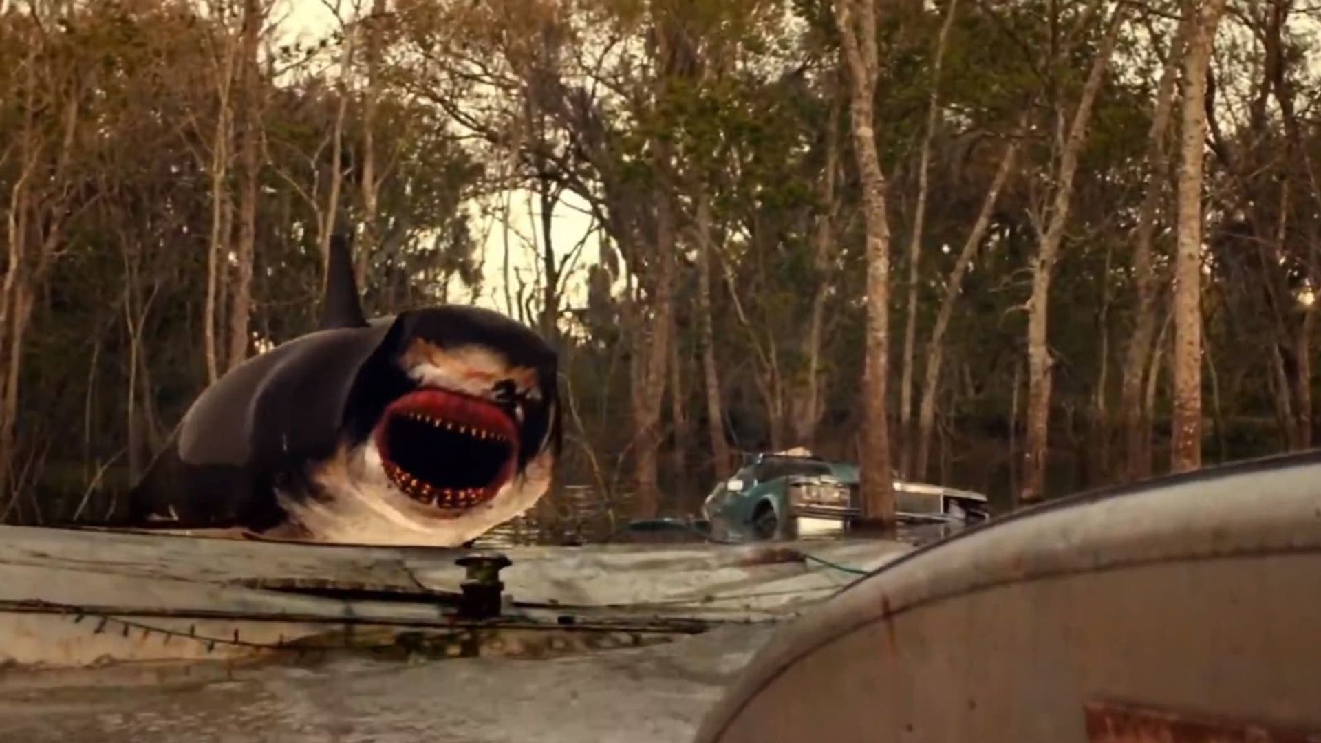 Trailer Park Shark background