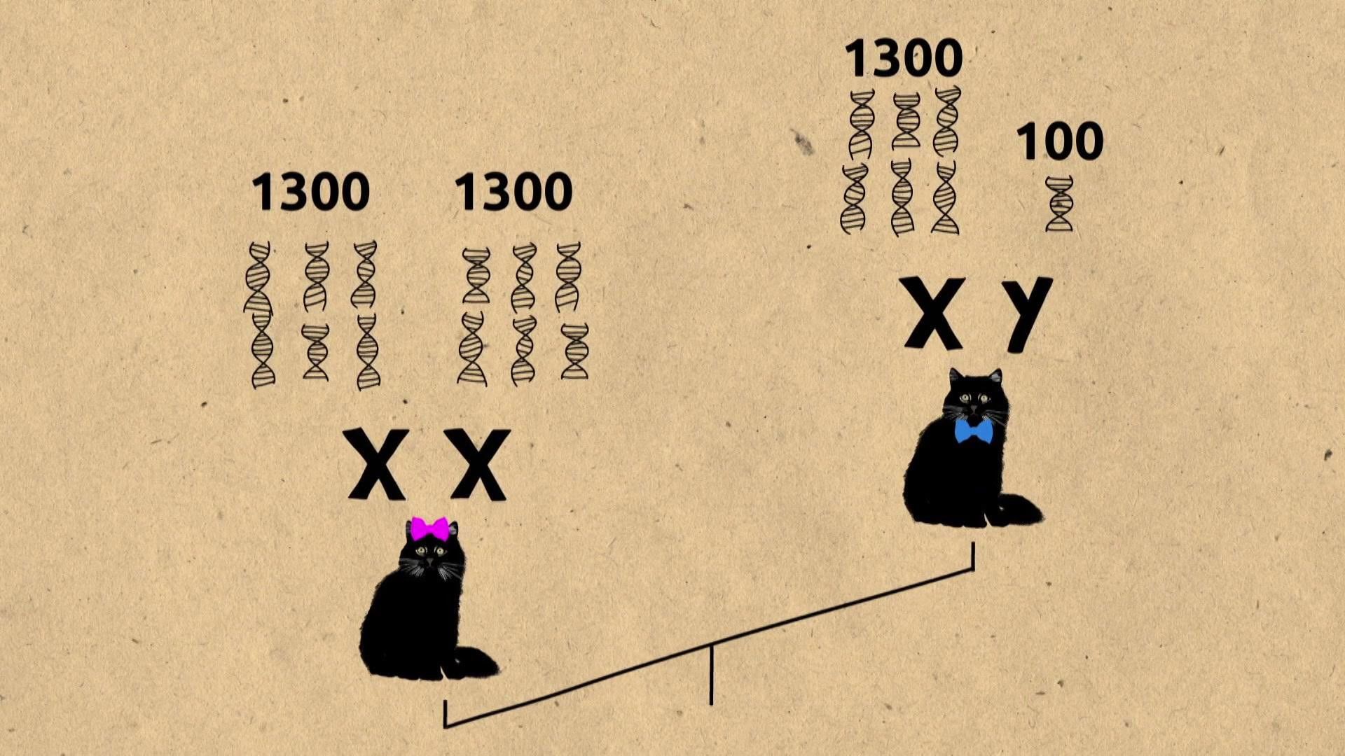Our Genes Under Influence background