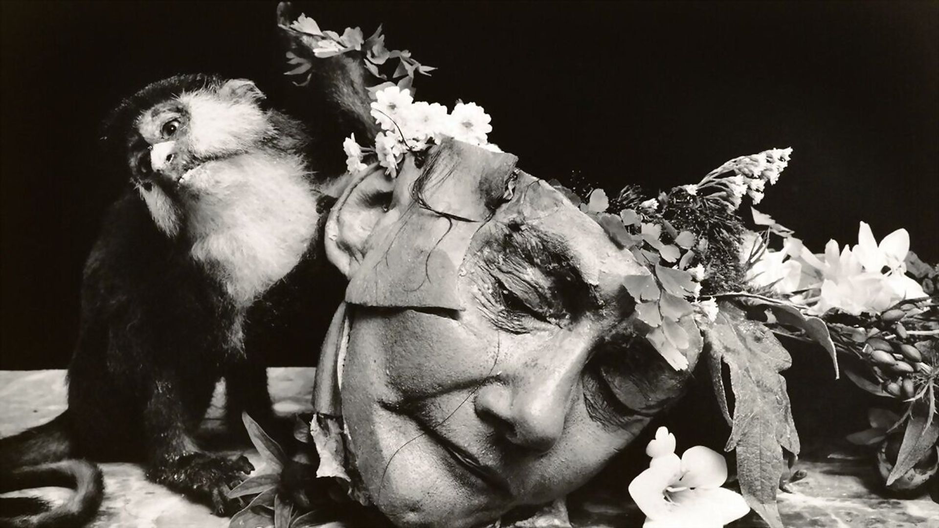 Witkin & Witkin background
