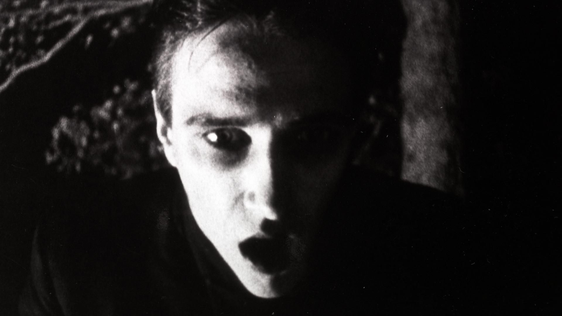 Strasek, der Vampir background