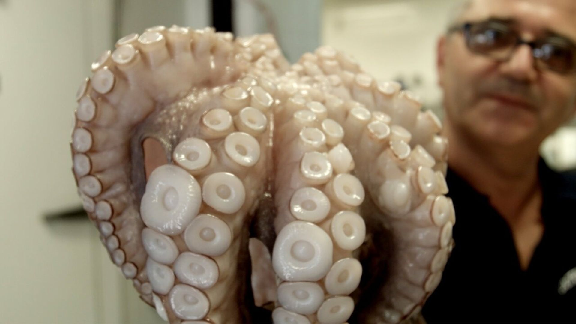 E il cibo va background