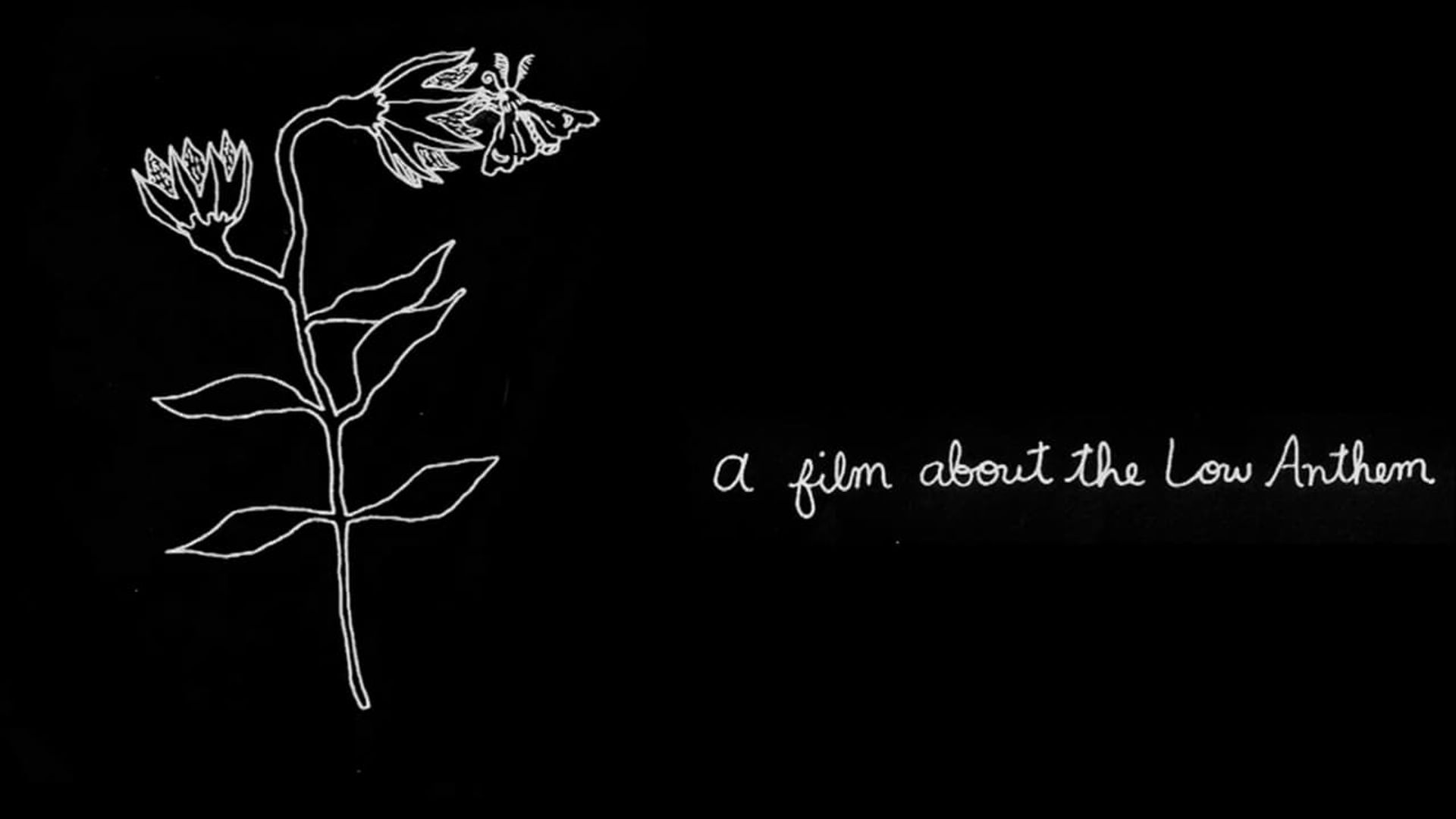 Am I the Dream or the Dreamer? A Film About the Low Anthem background