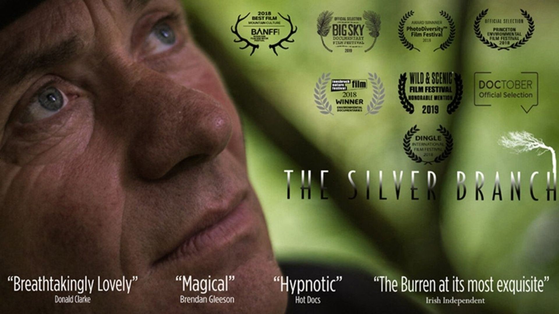 The Silver Branch background