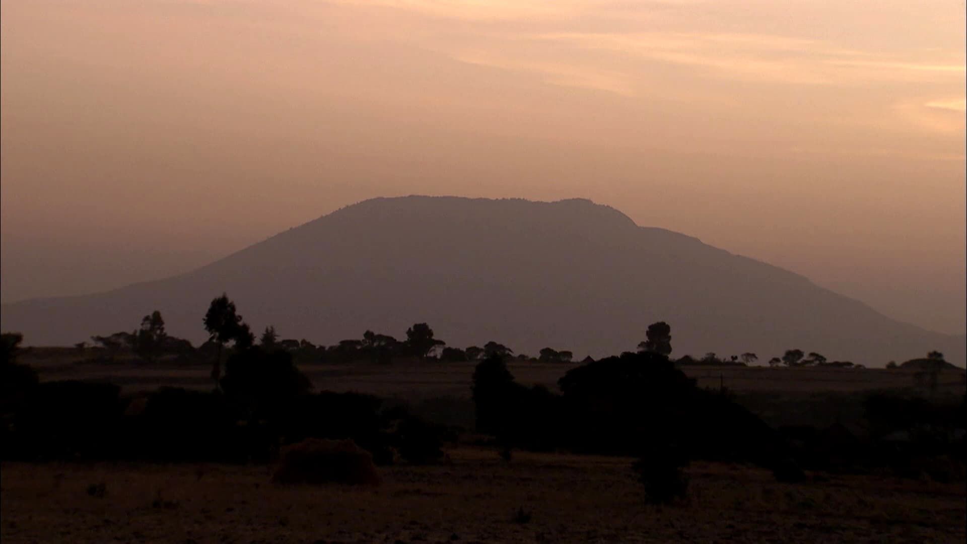 Africa Rising background