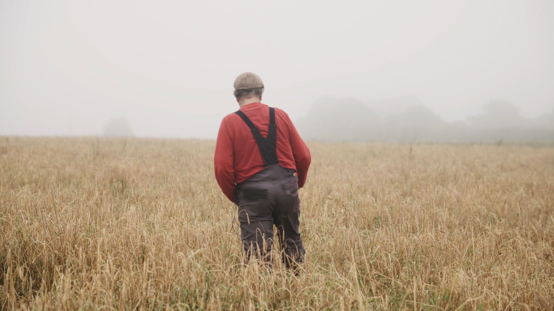 In Our Hands: Seeding Change background