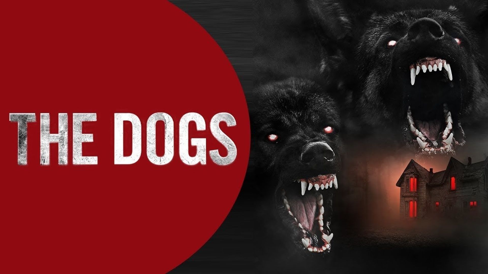 The Dogs background