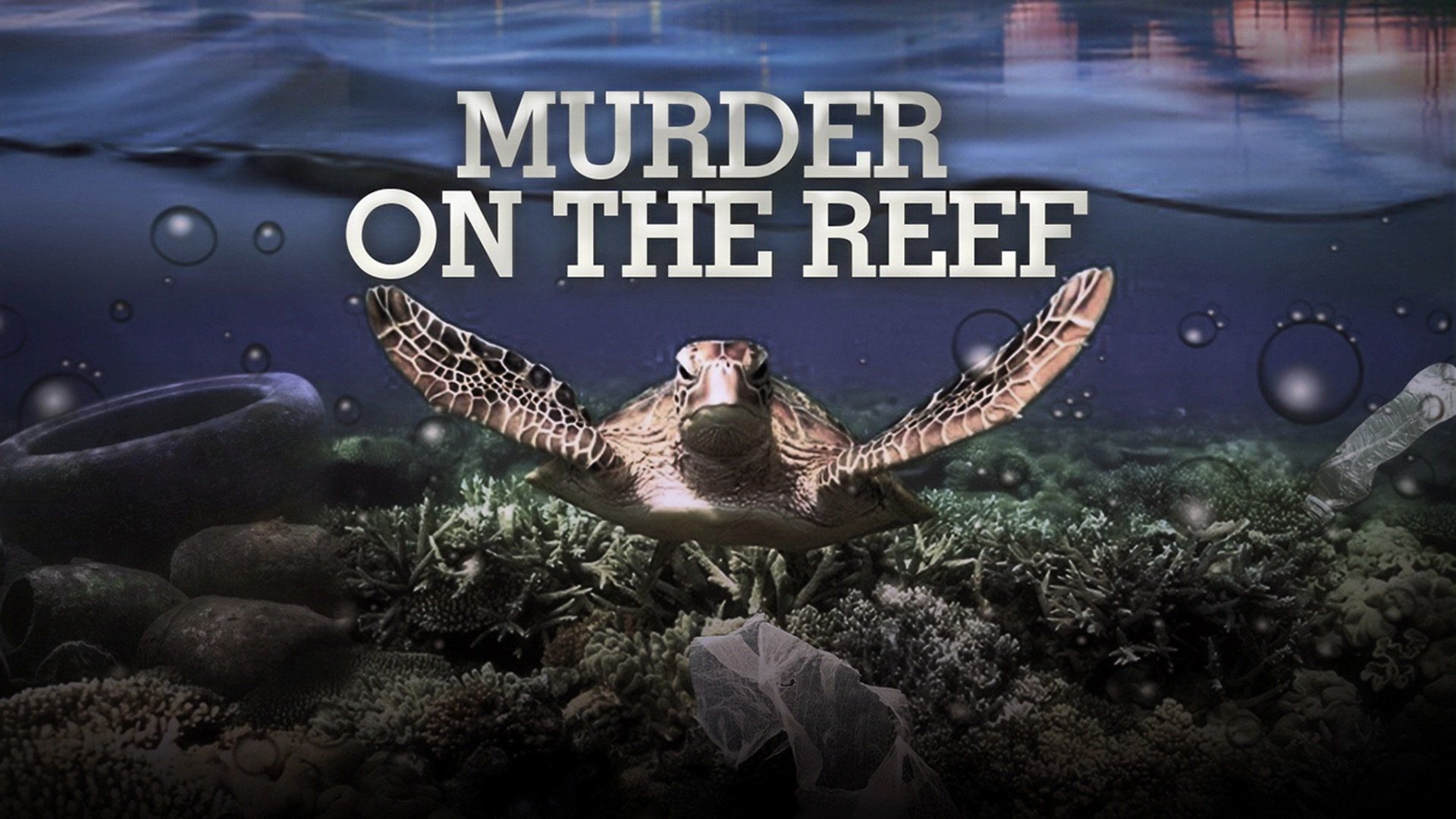 Murder on the Reef background