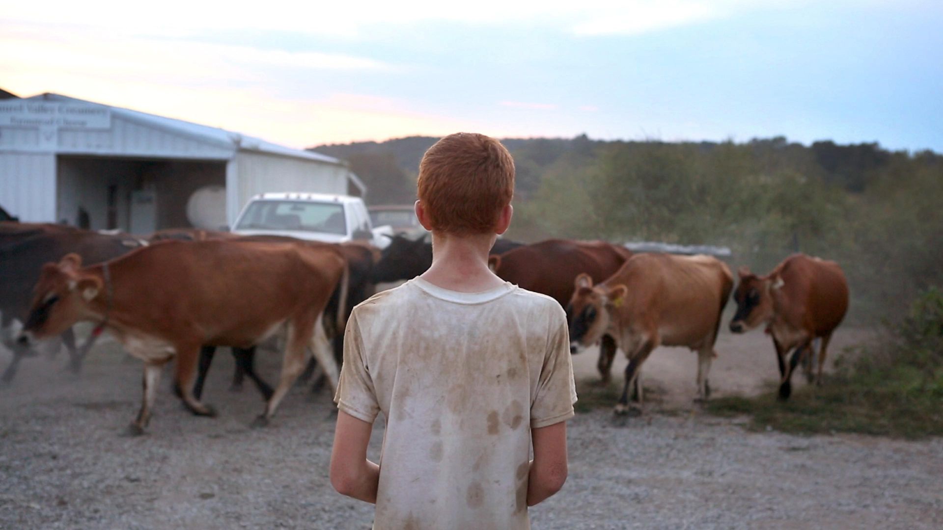 Farmsteaders background