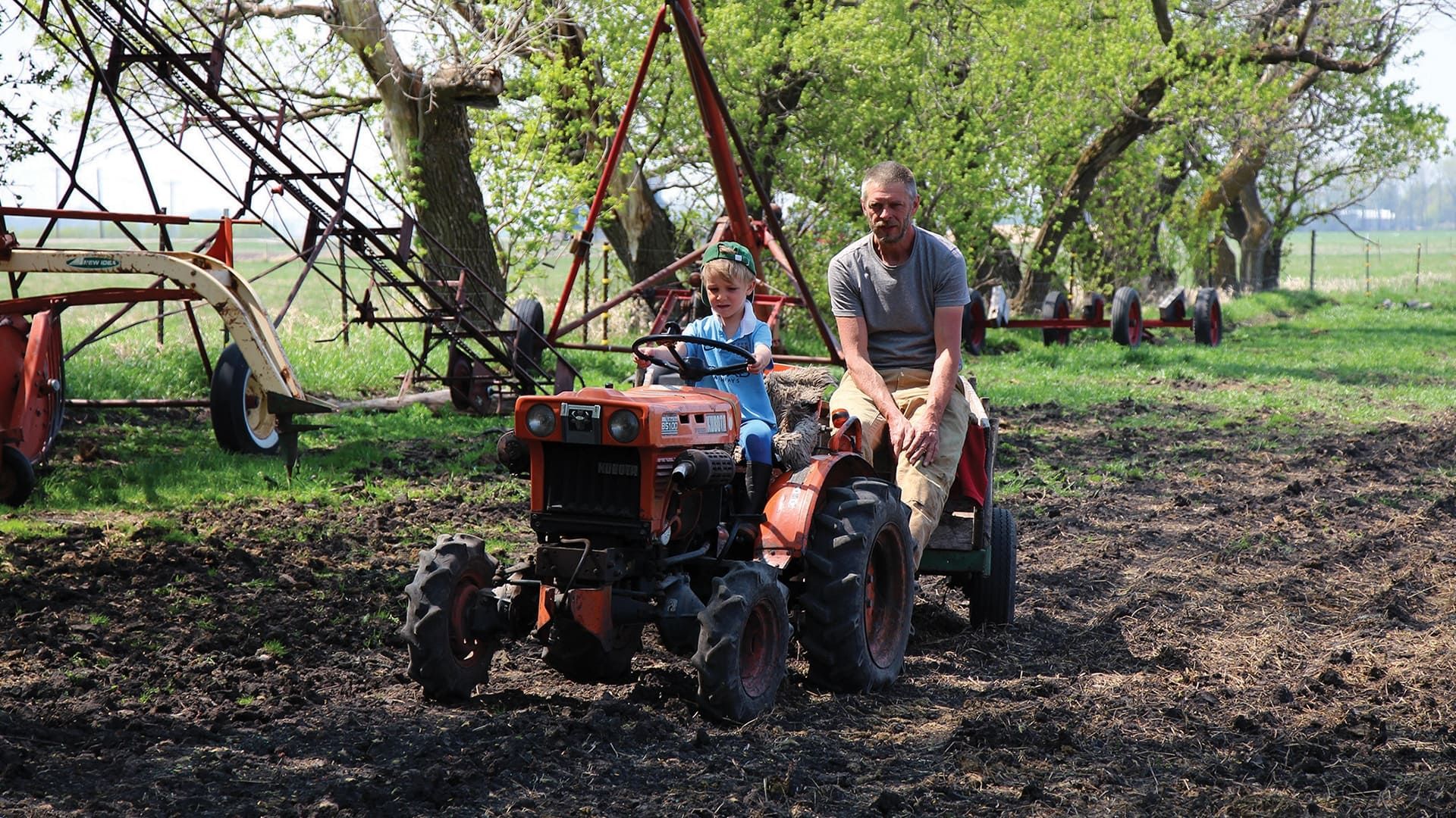 From Seed to Seed background