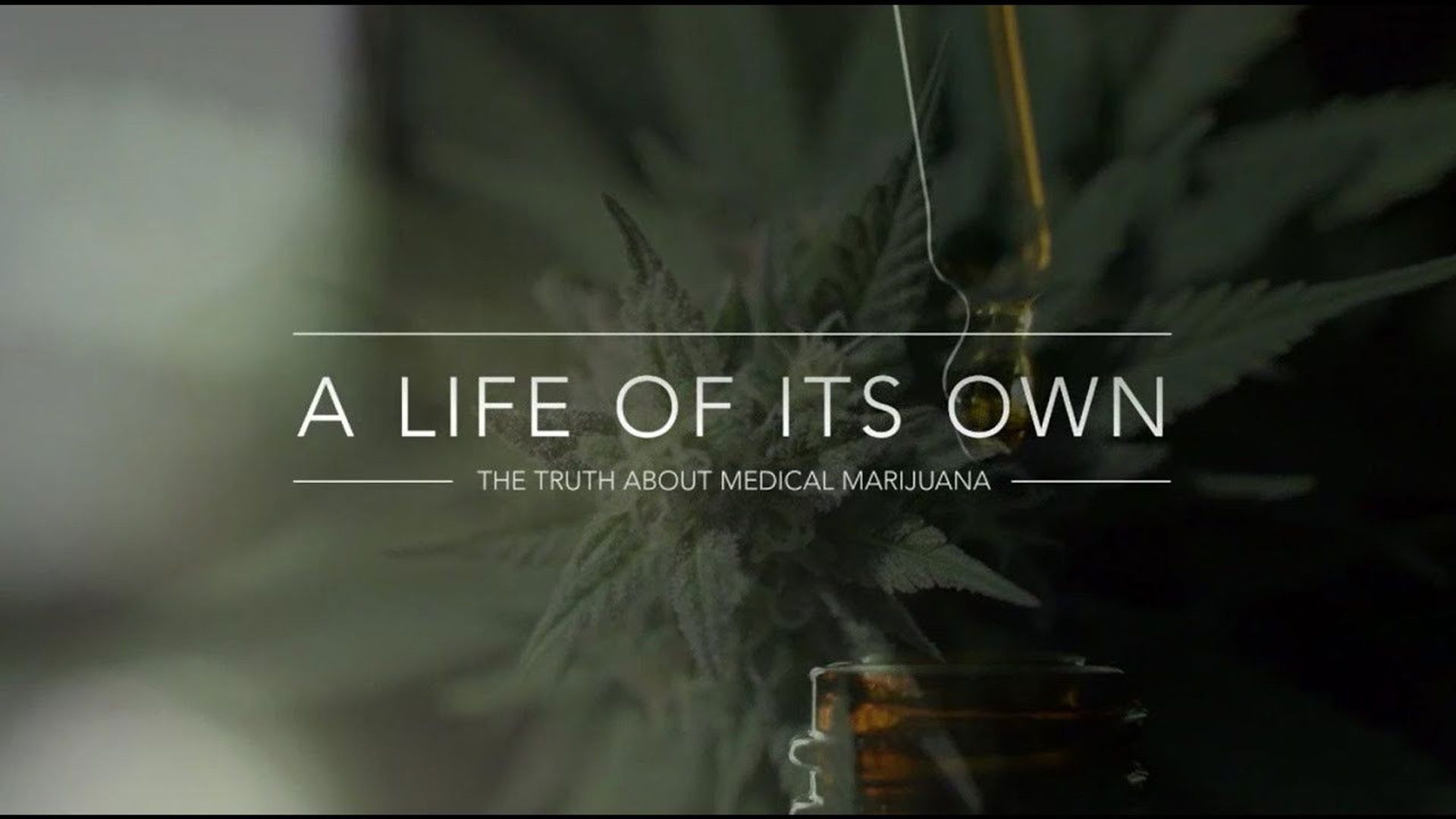 A Life of Its Own: The Truth About Medical Marijuana background
