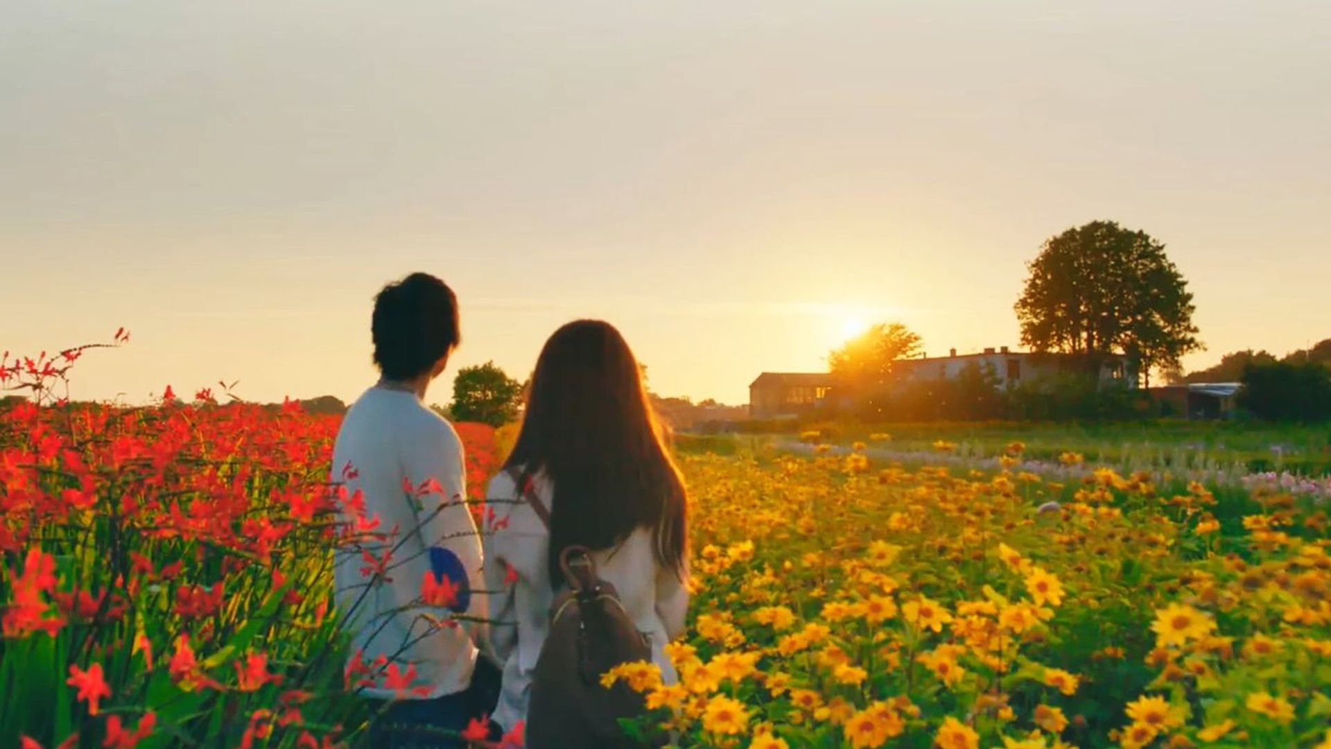 The Hows of Us background