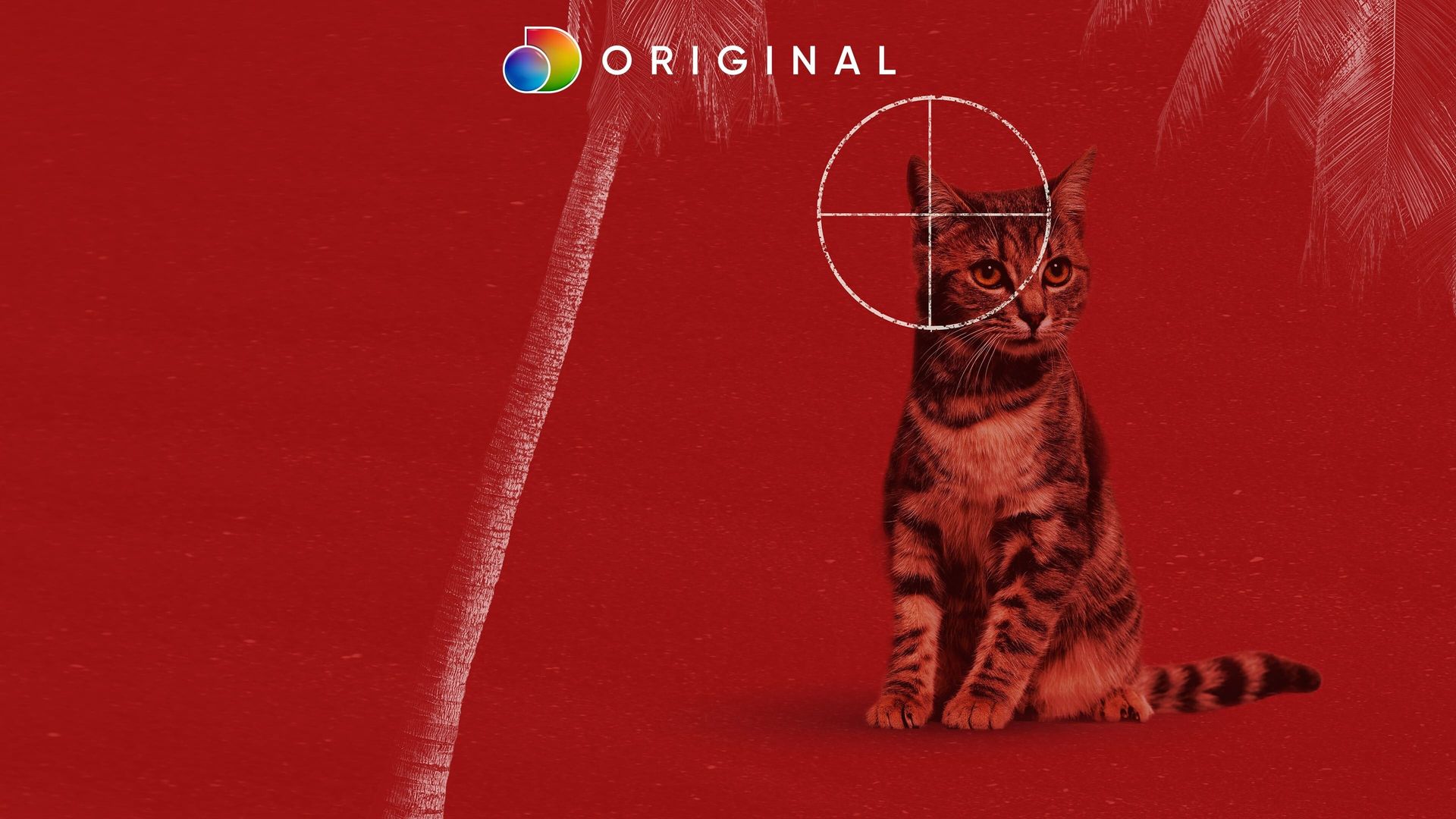 Feral background