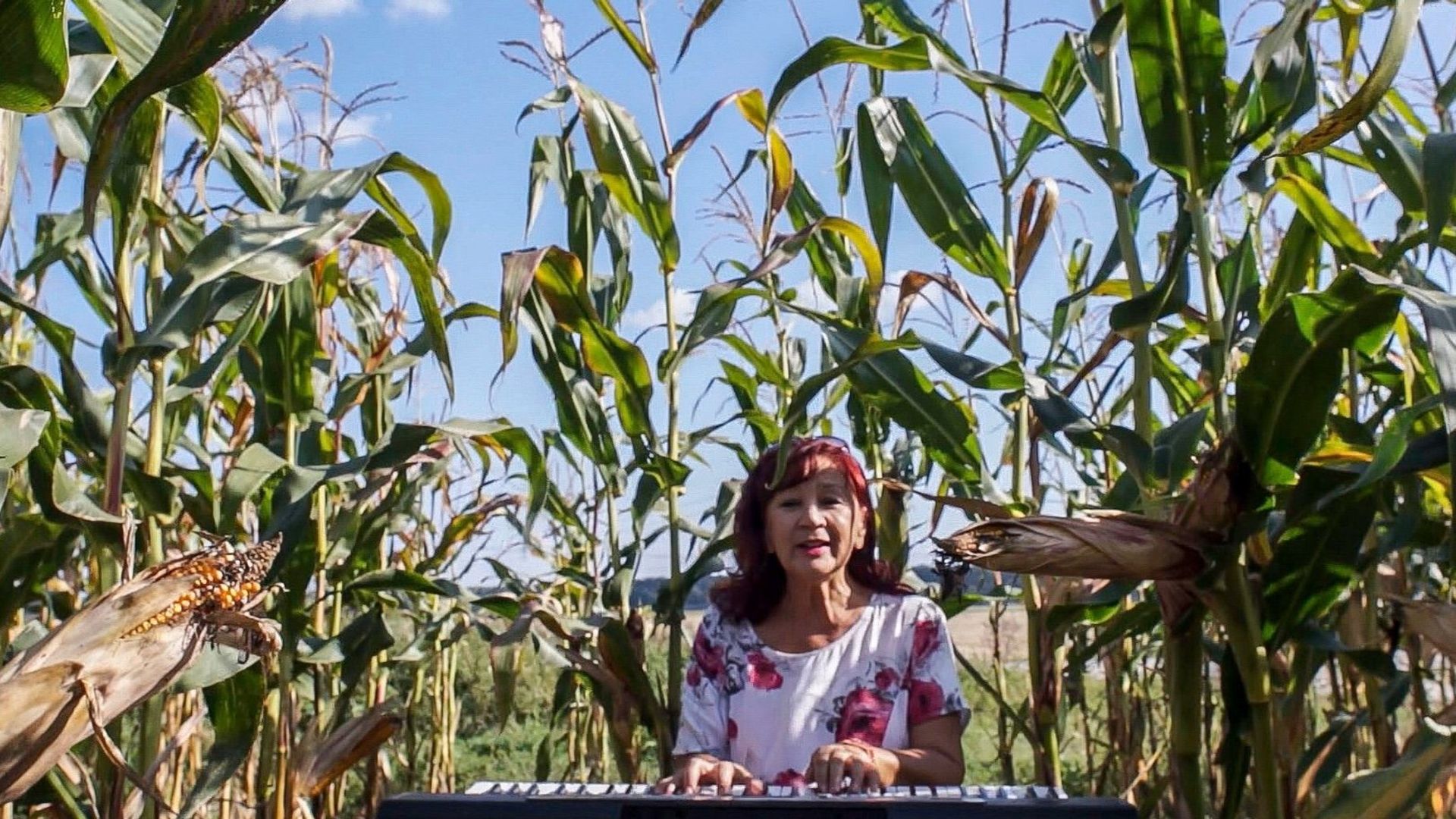 Glasnije od oruzja, Louder then guns background
