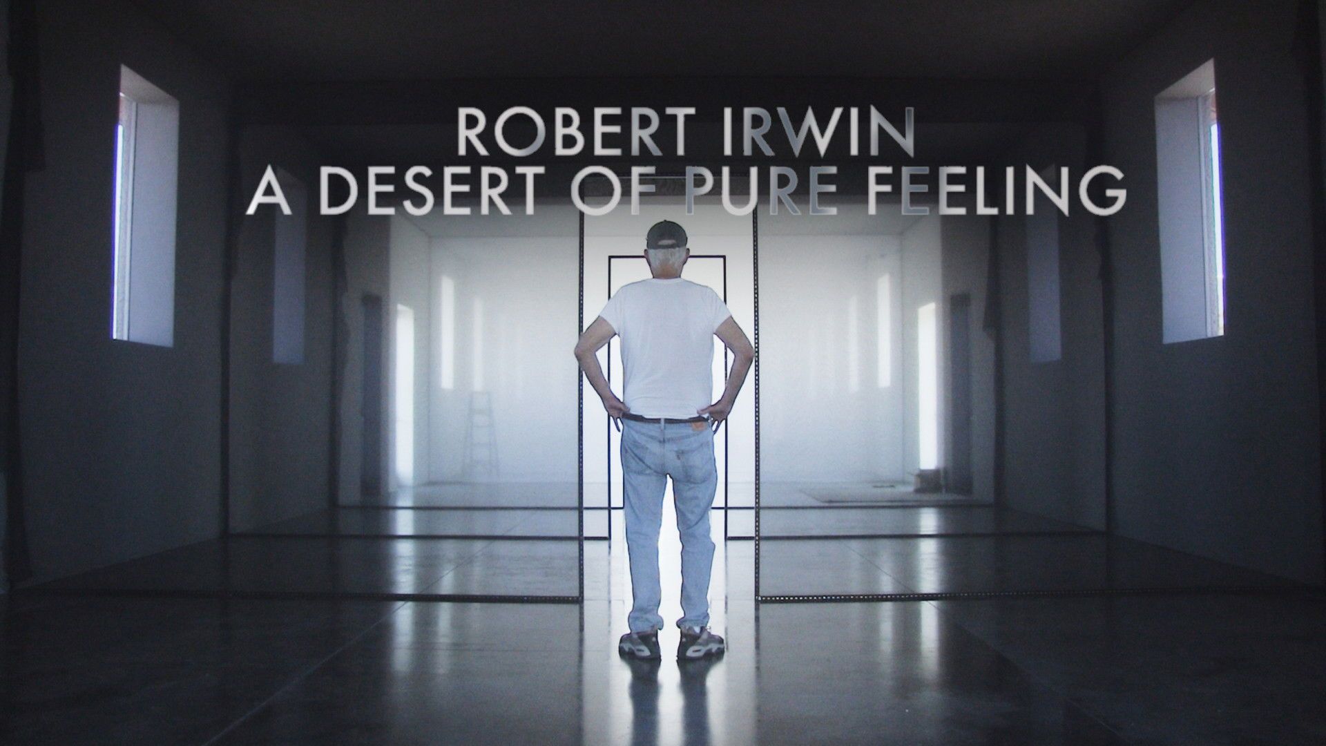 Robert Irwin: A Desert of Pure Feeling background